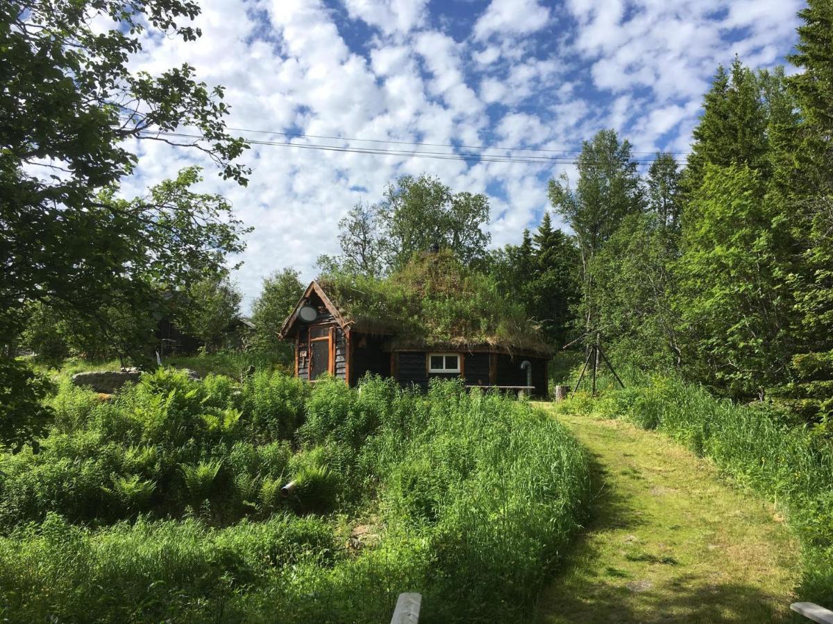 Villa 100 Years Old Norwegian Log House In Tromsø Exterior foto