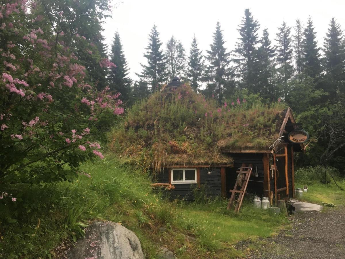 Villa 100 Years Old Norwegian Log House In Tromsø Exterior foto