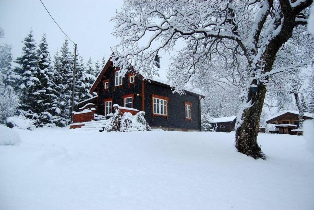 Villa 100 Years Old Norwegian Log House In Tromsø Exterior foto